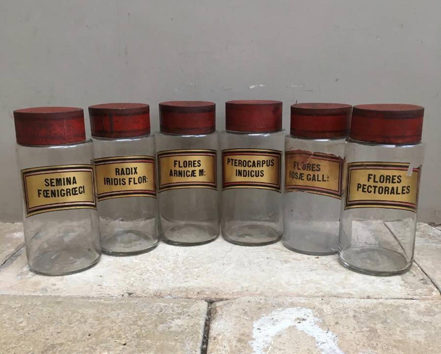 Edwardian Chemists Jars with Gilt Labels & Toleware Lids - All Flowers