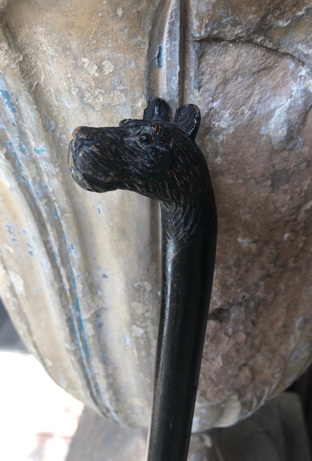 Early 20th Century Walking Stick - Parasol Stick - Carved Dogs Head
