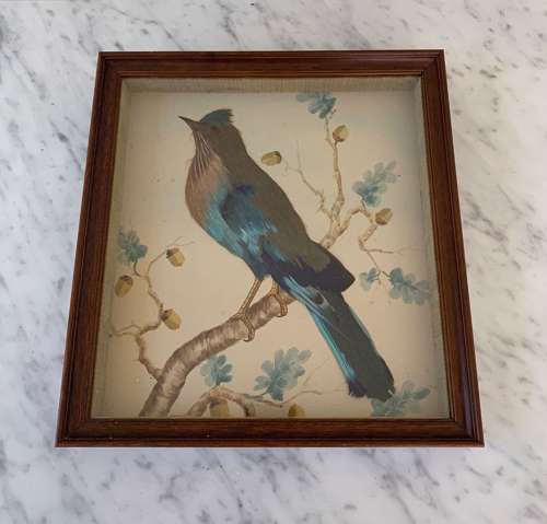 1940s Feathered Bird Picture with Hand Painted Watercolour Background