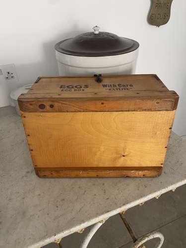 Superb Condition Early 20th Century Raylite Travelling Eggs Box