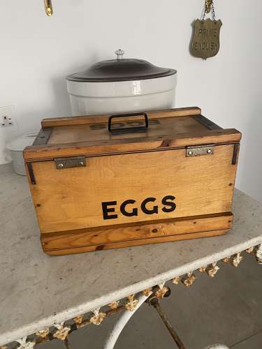 Superb Condition Early 20th Century Raylite Travelling Eggs Box
