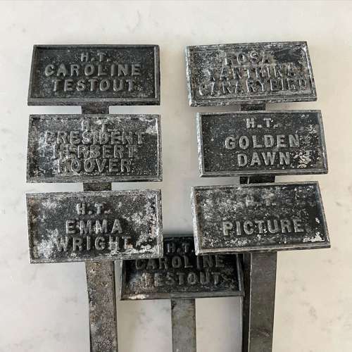 Six Edwardian Rose Spike Labels & Two Plaques