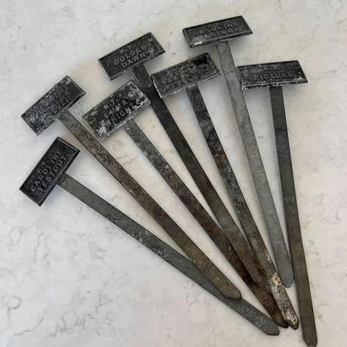 Six Edwardian Rose Spike Labels & Two Plaques