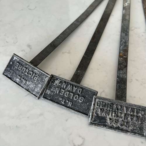 Six Edwardian Rose Spike Labels & Two Plaques