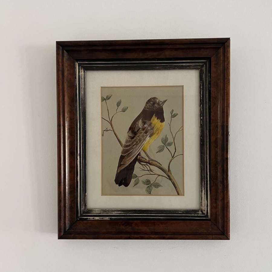 Victorian Bird on Hand Painted Watercolour Branch with Real Feathers