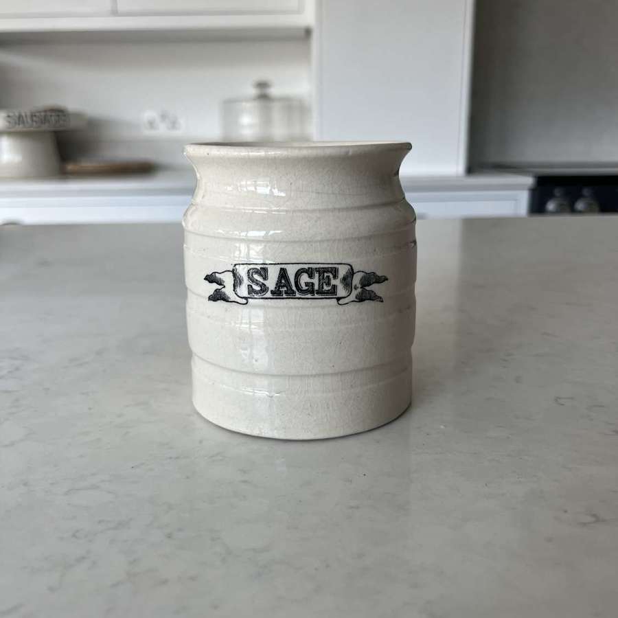 Rare Victorian White Ironstone Ribbon Front Sage Jar.
