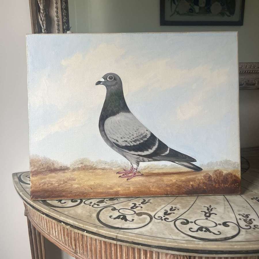 Pigeon Oil by Edward Henry Windred. Signed. Dated 1945