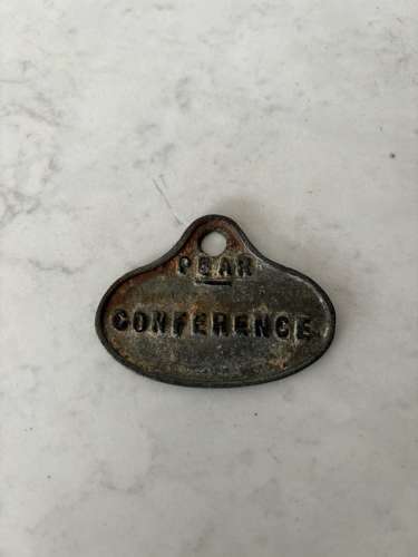 Early 20th Century Fruit Tree Label - Conference - Pear