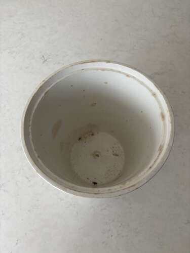 Edwardian White Ironstone Cooper & Co’s Pure Butter Pot