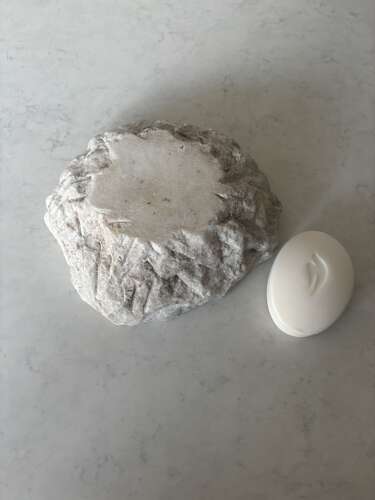 Ancient Geode of Celestine. Makes great soap dish.
