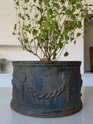 Georgian Cast Iron Jardiniere - Wonderful Original Paint - Very Heavy